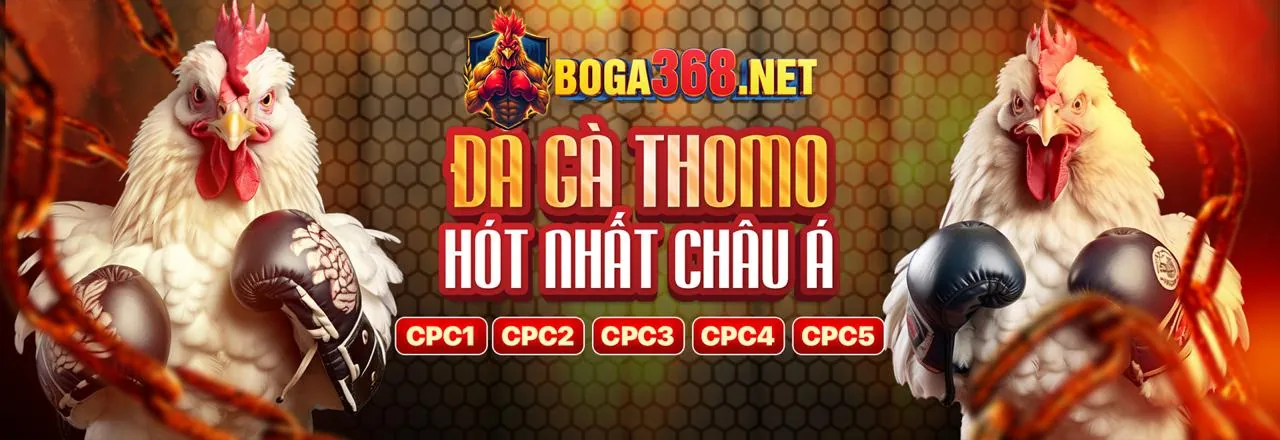 Hình ảnh hỗ trợ khách hàng Fun88hay